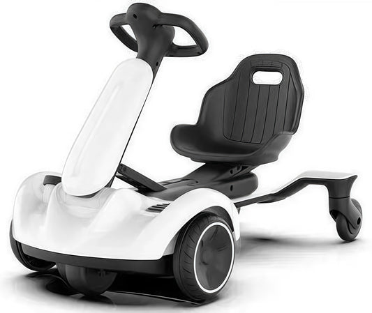 Future Drivers: Eco-Conscious Fun with Electric Go-Karts
